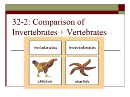 34-3: Comparison of Invertebrates + Vertebrates