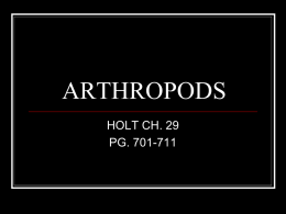 ls holt arthropod notes