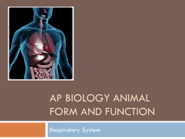 AP Biology Animal Form and Function Respiratory ppt.