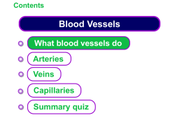 KS4 Blood Vessels