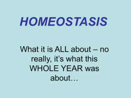 Homeostasis Review for regents
