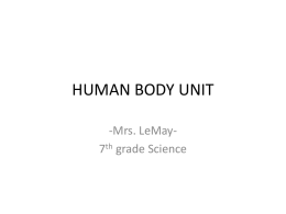 HUMAN BODY UNIT