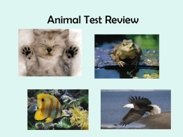 File animal behaviors review