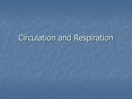 Circulation Respiration