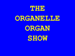 THE ORGANELLLE/ORGAN SHOW