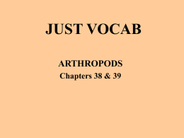 just vocab - local.brookings.k12.sd.us