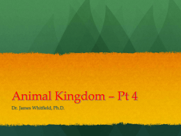 Animal Kingdom – Pt 4