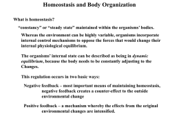 Homeostasis and Body Organization
