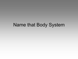 Name that Body System