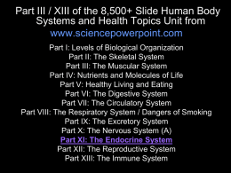 The Endocrine System - Science PowerPoints