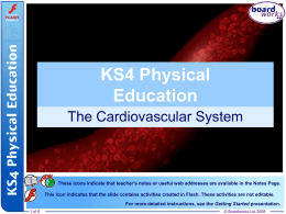 1. The Circulatory System
