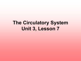 The Circulatory System Unit 3, Lesson 7