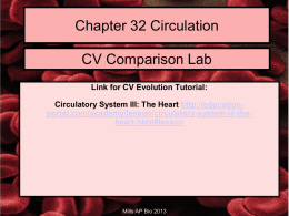Chapter 41 Circulation