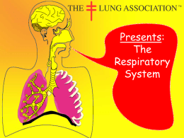 The_Respiratory_System_adv