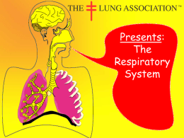 The_Respiratory_System_med