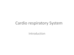Cardio respiratory System