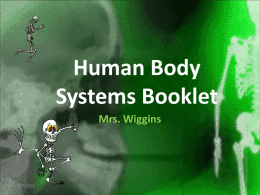 Human Body Systems - MrsWigginsScience