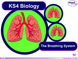 KS4_The_Breathing_System[1]