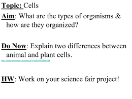 How are cells in a multicellular organism organized?