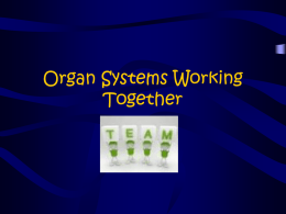 Organ Systems Working Together