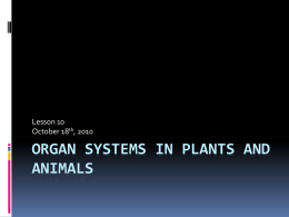 Organ Systems in Plants and Animals