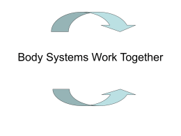 Body Systems Work Together