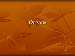 Organs