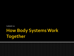 How Body Systems Work Together