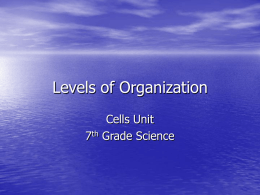 Levels of Organization - Ms. Pollei`s Science 7