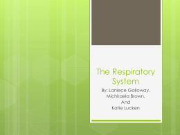 The Respiratory System - Bingham-5th-2012
