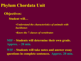 10 Phylum chordata-1