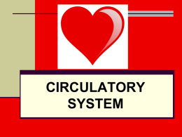 Types of Circulatory System Open Circulatory System
