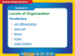 body systems1