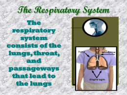 The Respiratory Syst.. - Junction Hill C
