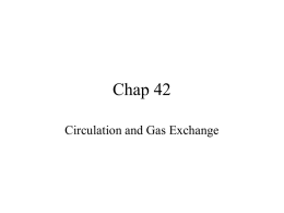 42gas exchange