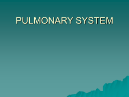 PULMONARY_SYSTEM2