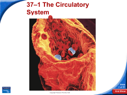 37–1 The Circulatory System