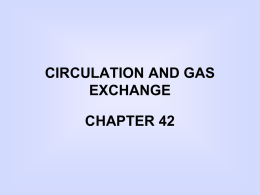 circulation and gas exchange