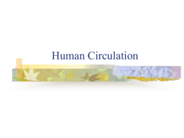 Human Circulation and Respiration