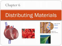Ch 6 Distributing Materials 2