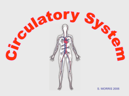Circulatory system - World of Teaching