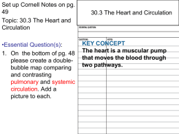 30.3 The Heart and Circulation