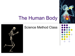 Human body - Fall2009ELED4312
