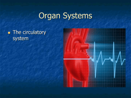 Circulatory system pp