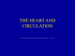 Heart and Circulatio..
