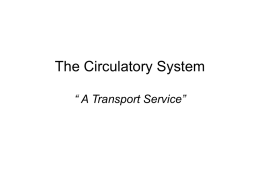 The Circulatory System “ A Transport Service”