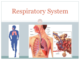 Respiratory Sys