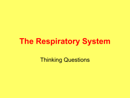 The Respiratory System - Science