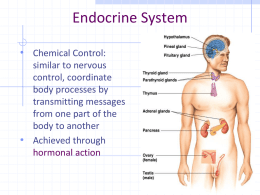 Unit 21.3 Human Endocrine System