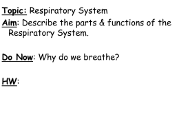 TOPIC: Respiratory System AIM: What are the parts & functions of